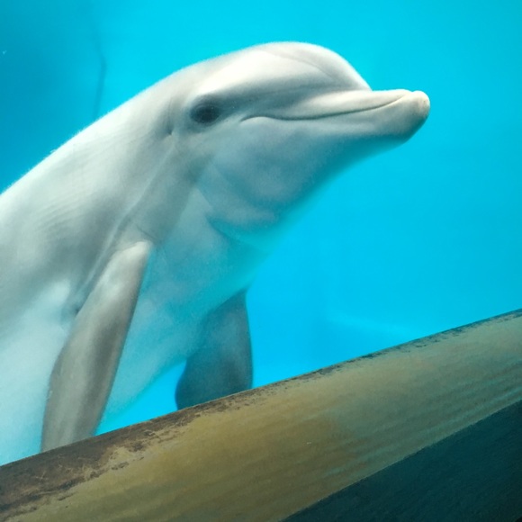 Meet your Posher, Jocelyn - Picture 1 of 1